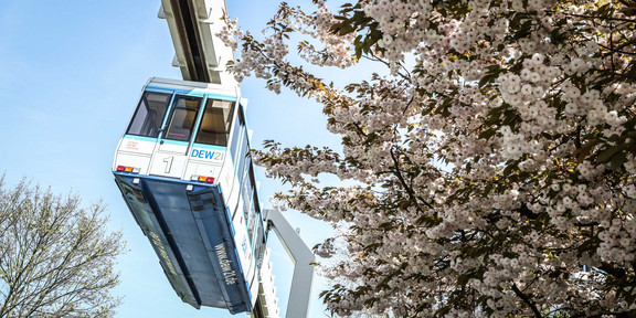 TU im Frühling_03 H-Bahn zwischen blühenden Kirschblütenbäumen.