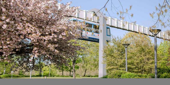 H-Bahn Linie umgeben von blühenden Bäumen.